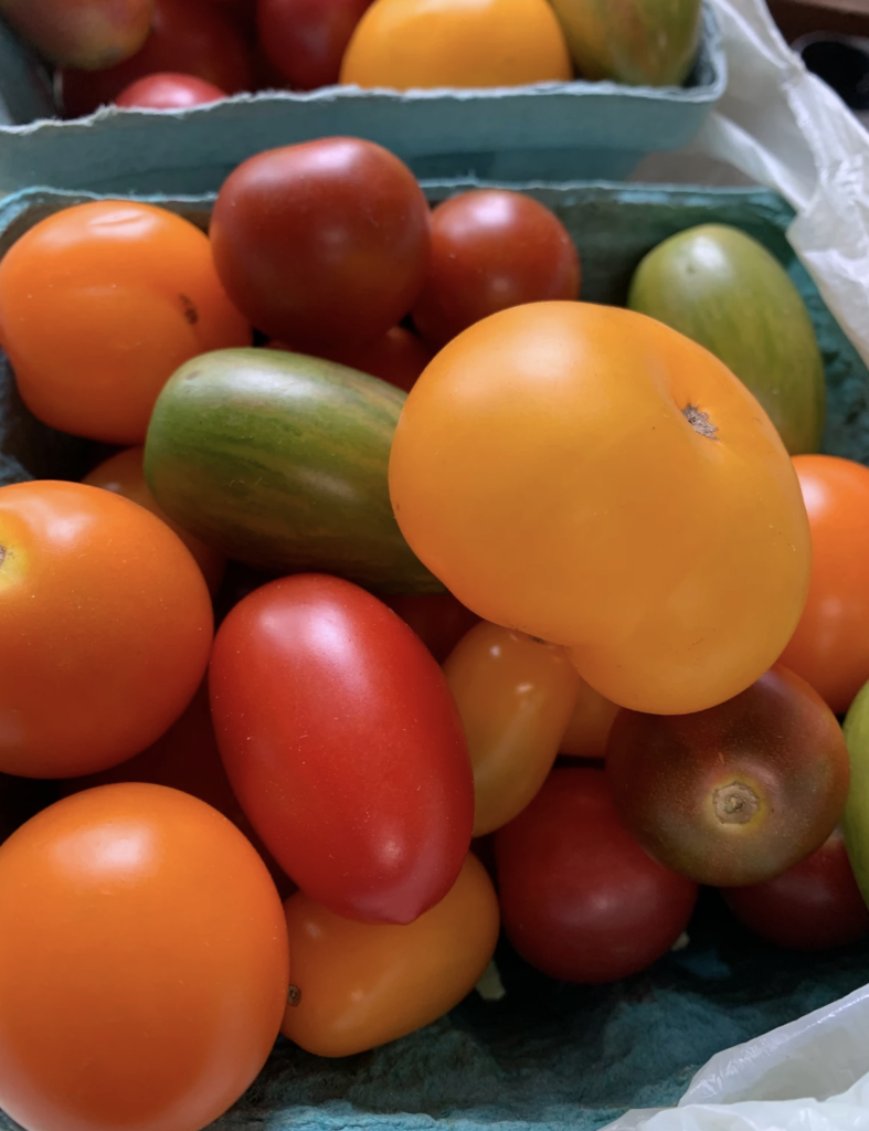 Hanover Tomatoes