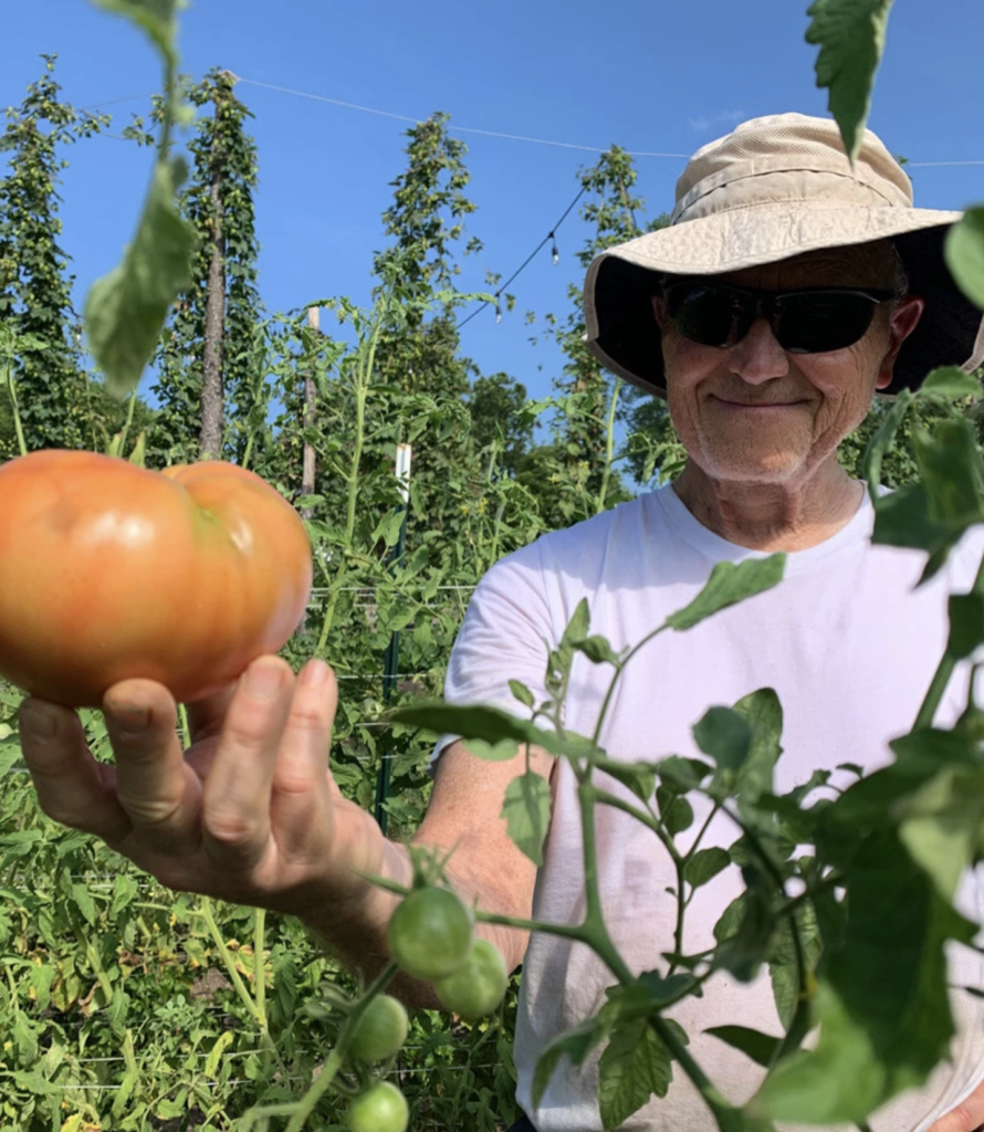 Hanover Tomatoes Woodside Farms